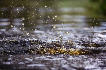 splash on water surface background brown, dark water nature abstract