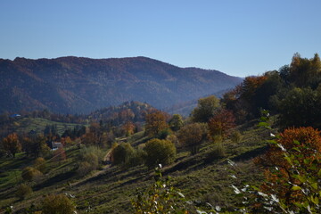 Fototapeta na wymiar Autumn landscape in the mountains. Carpathian mountains, Ukraine.