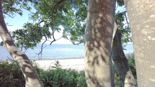 Midlothian, Scotland &ndash; June 19 2022. A panning shot of the Firth of the Forth (Linne Foirthe) captured from Cramond promenade on a bright and sunny day