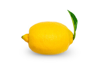 yellow ripe lemon, density on white background