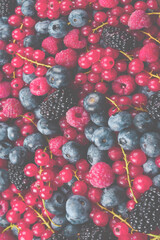Blackberry, raspberry, blueberry,  red currant and mint background.