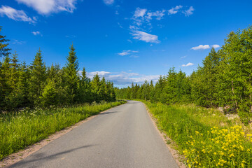 Beautiful view of asphalt road and green trees in forest merging with blue sky on horizon. Sweden.