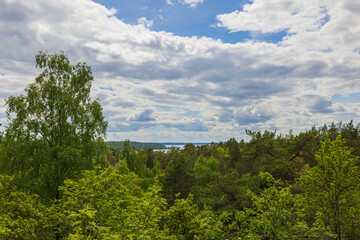 Obraz premium Beautiful top view of forest landscape panorama with large lake in background. Sweden.