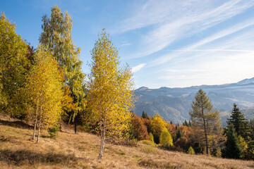 Beautiful mountain autumn landscape with colorful forest