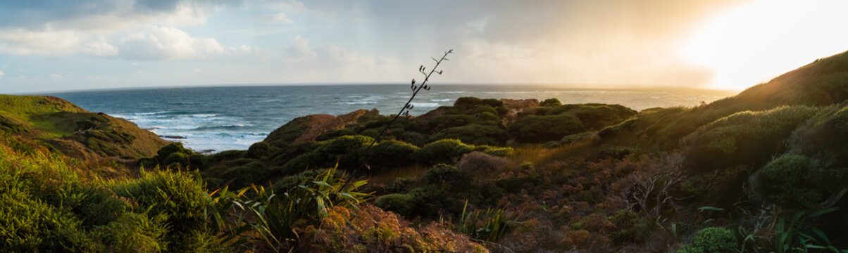 ニュージーランド　ノースランド地方のオマペレの保護公園から見えるタスマン海