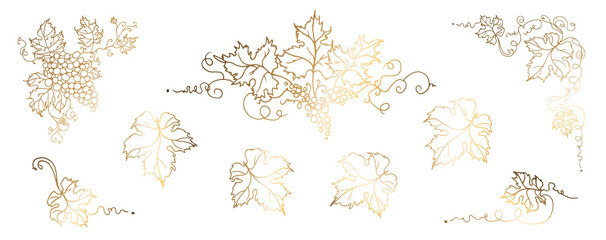 Vine. Vector illustration. Design elements with a twisting golden vine with leaves and grapes. Drawing by hand in the style of line art. The frame is round with a vine.