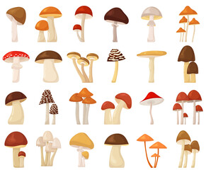 mushrooms set, collection in flat design set isolated, vector