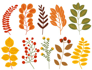 plants leaves autumn set, collection in flat design set isolated, vector