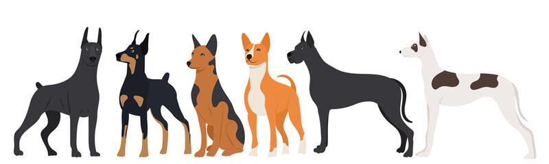 dogs playing flat design set isolated , vector
