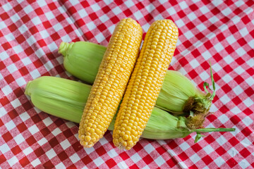 two cobs of fresh yellow young corn with leaves on a red clot background