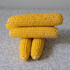 stack of corn cobs fresh stacked on light background