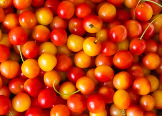 background red and yellow cherries closeup texture fruit summer