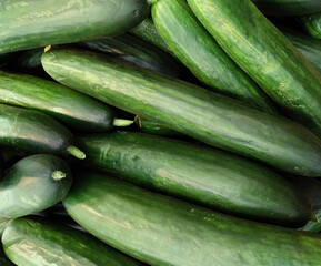 Top view of bunch of cucumbers from supermarket