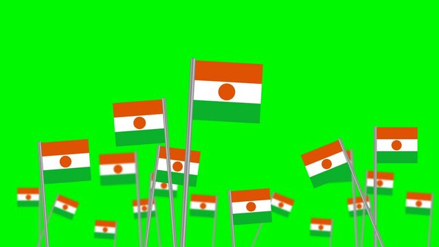 hand hold national flag republic of Niger isolated on green background. focused on front flags animation.