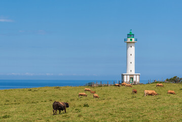 Lastres lighthouse with cows grazing around it and the Cantabrian Sea in the background,Asturias.