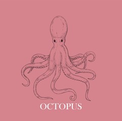 octopus sea food design template engraving - 514770573