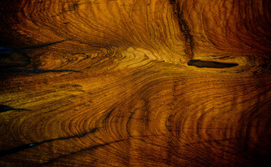 Wood background texture, abstract, nature background
