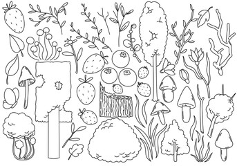 Large set of isolated forest objects: trees, bushes, flowers, mushrooms, leaves. Black outline without color on white background