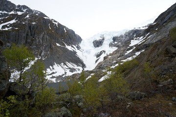 Fototapeta na wymiar buarbreen glacier, Odda, Norway