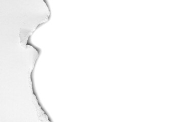 torn paper isolated on white background.