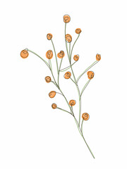 Vector illustration of watercolor flower with black line. Design for interior decoration, postcards, paintings and websites. Set of multicolored flowers. Vector isolated flowers on a white background