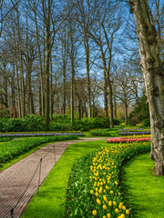 Obraz premium Winding pathways, lush gree lawns and colorful tulips in Keukenhof garden, Netherlands