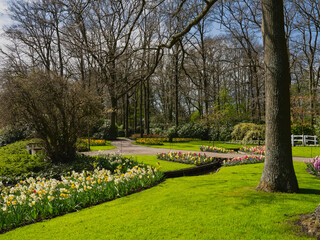 Colorful tulips in the lush Keukenhof gardens, Netherlands