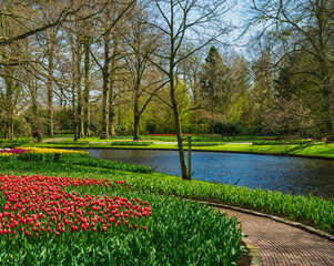 Colorful flowers, canal and pathway  in Keukenhof, Netherlands