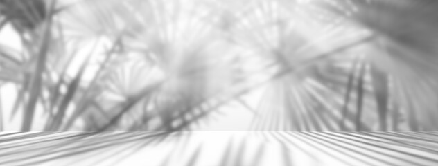 3d palm shadow overlay, empty room with sunlight and shadow from palm leaves on white background,...