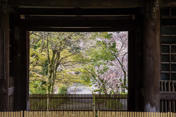 早春の天野山金剛寺（大阪府河内長野市）