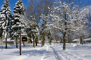City Park After The Snowstorm