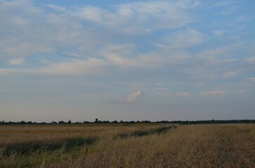 turbine in the field