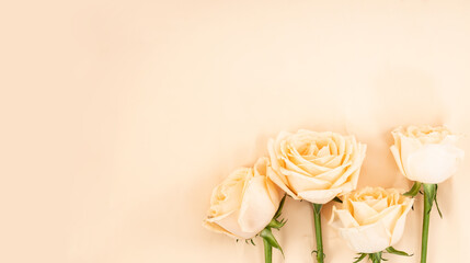Minimalist champagne rose white poster background