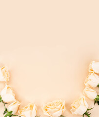 Minimalist champagne rose white poster background