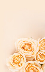 Minimalist champagne rose white poster background