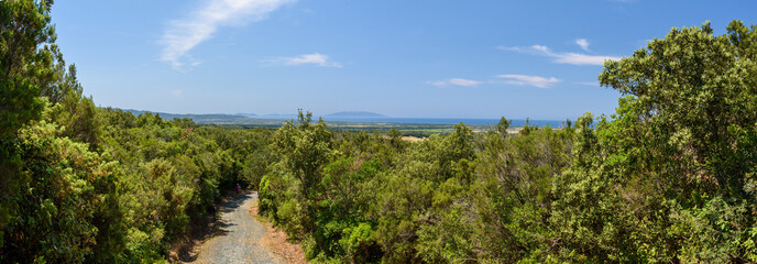 Panorama  mit Blick aus Macchia  della Magona auf  Mittelmeer mit Isola del Elba