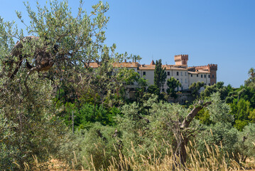 Bolgheri, Burg gesehen durch Olivenhain