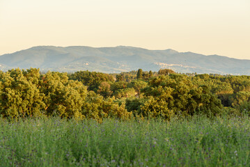 Landschaft in der Toskana mit Hügeln, Häusern und Straße bei Sonnenuntergang