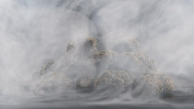 Cloud of smoke with cannabis marijuana buds.