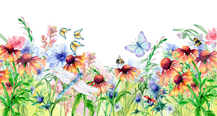 Meadow orange, pink flowers board and insects watercolor illustration isolated.