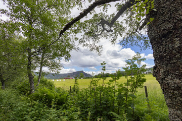 Old farm by the mountain Urstabben, ,Helgeland,Northern Norway,scandinavia,Europe