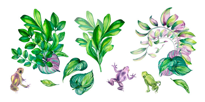 Set of branch with green, pink leaves, frogs, colorful summer watercolor illustration on white