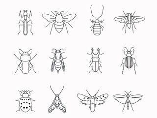 Fototapeta na wymiar insect bug line art icon set.artistict outline logo