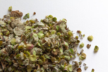 a heap of Origanum dictamnus, dittany of Crete tea on a white background. Cretan dittany or hop...