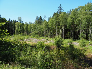 Hasselfurter Weiher – Stausee bei Bitsch in Frankreich