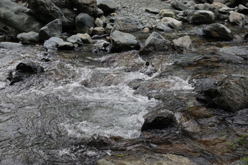 Liguria, Italy- April 25, 2022: Beautiful colorful spring summer natural landscape with a lake in the park surrounded by green foliage of trees in the sunlight and stone path in the foreground.