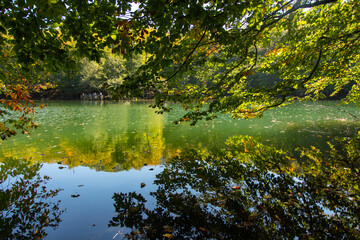Fototapeta premium Green Reflections in the Golcuk Lake, Golcuk National Park, Bolu Turkey