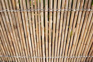 Background and texture of bamboo wall or fence