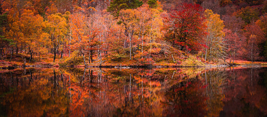Reflection of colourful trees in lake.