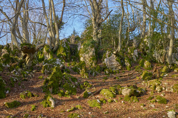 Hiking trail at Monte Gennaro, Monti Lucretili  Natural Regional Park in Italy
